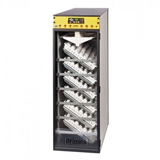 Brinsea ova easy 580 advance ex incubadora automática para aves