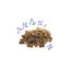 6 bolsitas x 50 g Edgard & Cooper bocaditos de ternera con fresa y mango para perros ¡Pack ahorro!, , large indicador imagen numero 2