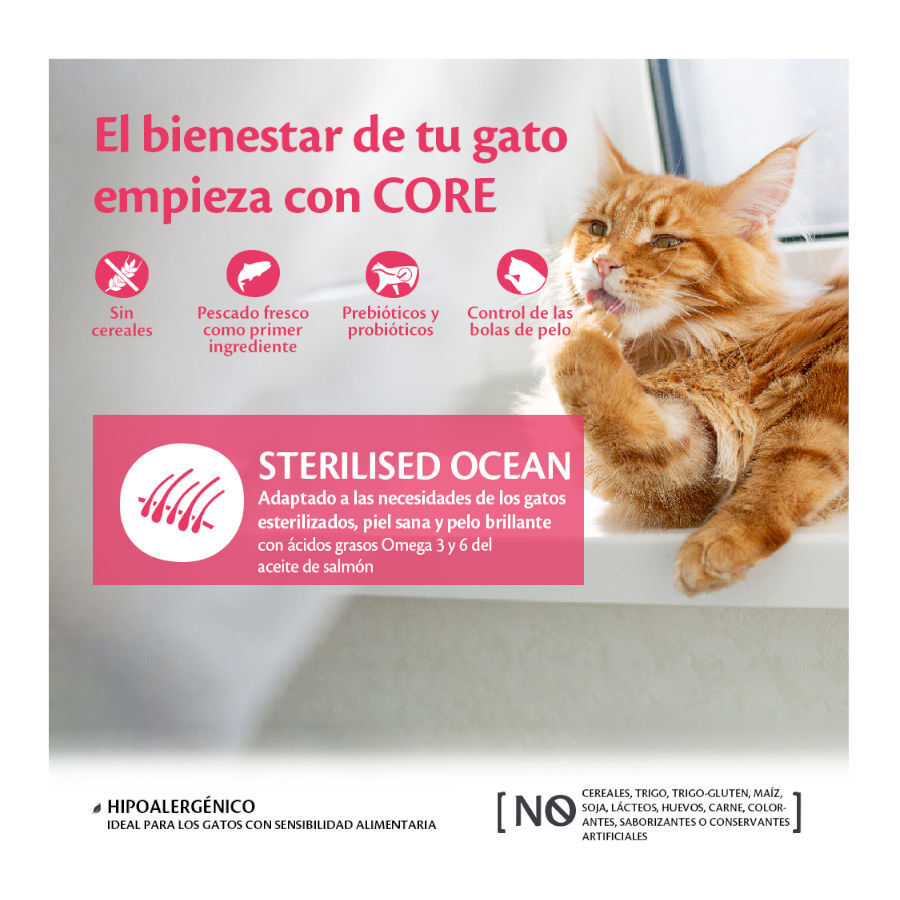 Wellness Core Adult Sterilised Ocean Salmón pienso para gatos thumbnail