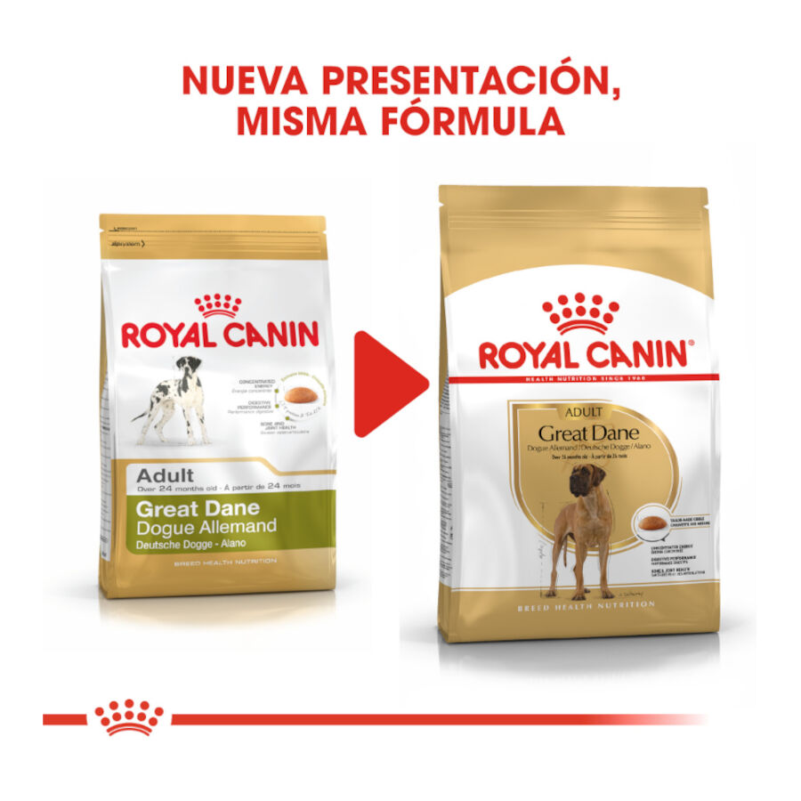 Royal Canin Adult Great Dane pienso para perros thumbnail
