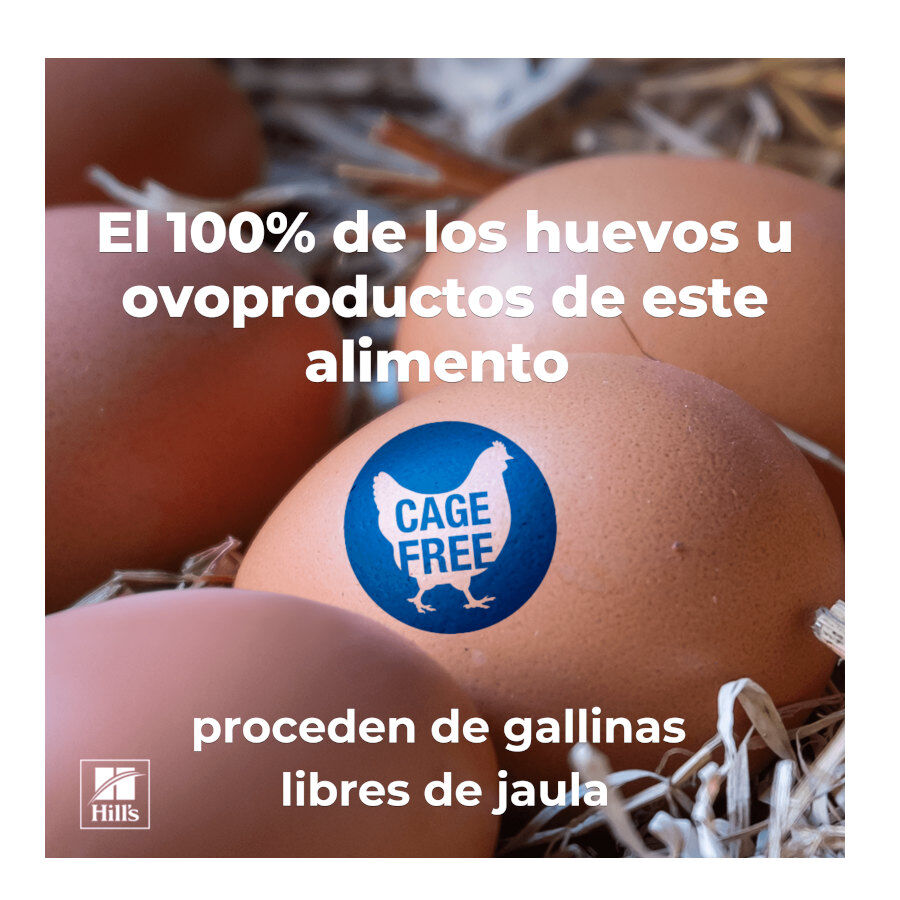 12 sobres x 85 g Hill's Prescription Diet Urinary Care c/d Pollo sobre para gatos, , large Imagen numero 7
