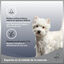 MD-10 Champú Hidratante y Dermoprotector para perros Westy, , large indicador imagen numero 2