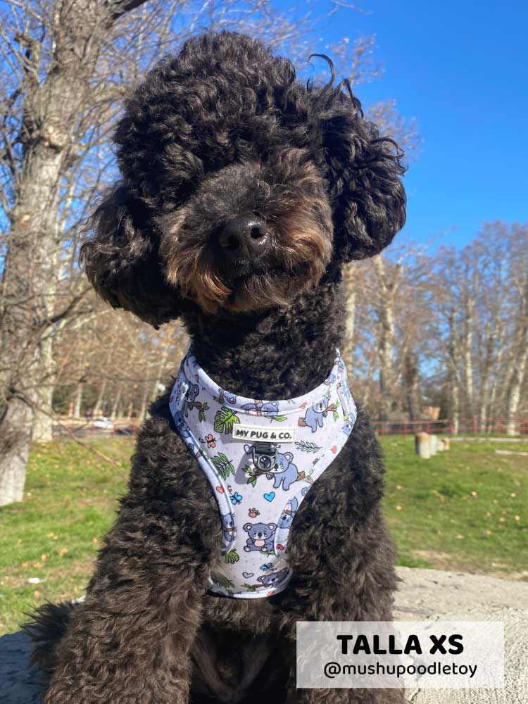 Arn&eacute;s Ajustable Lazy Koala, , large Imagen numero 3