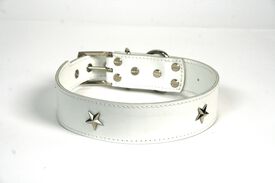LGMCAN Collar de Piel blanco con estrella para perros