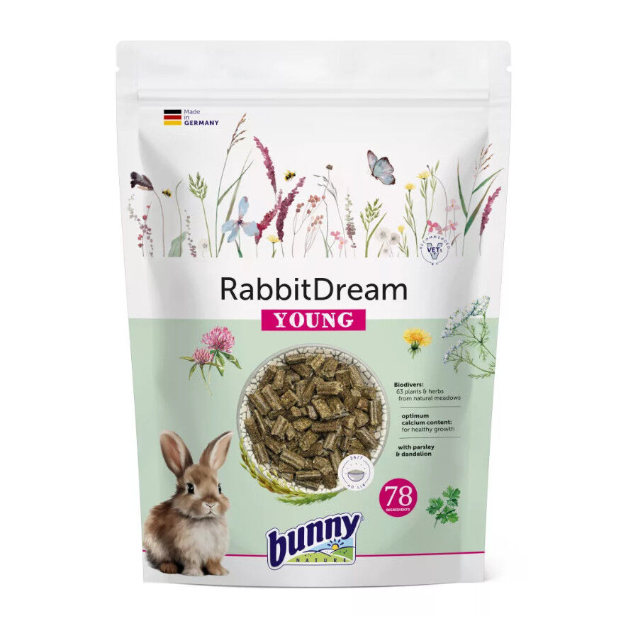 Bunny Rabbit Dream Young para conejos enanos