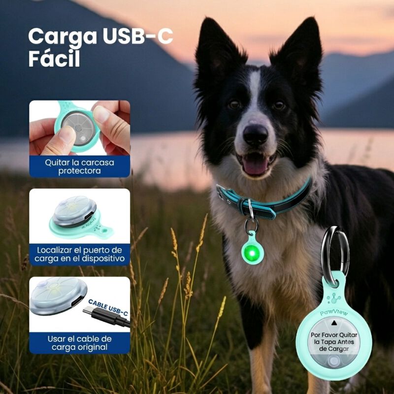 PawView Luz LED de Seguridad para Perros y Gatos con C&oacute;digo QR, Identificaci&oacute;n Digital, USB-C Recargable y 3 Modos de Luz, , large Imagen numero 5