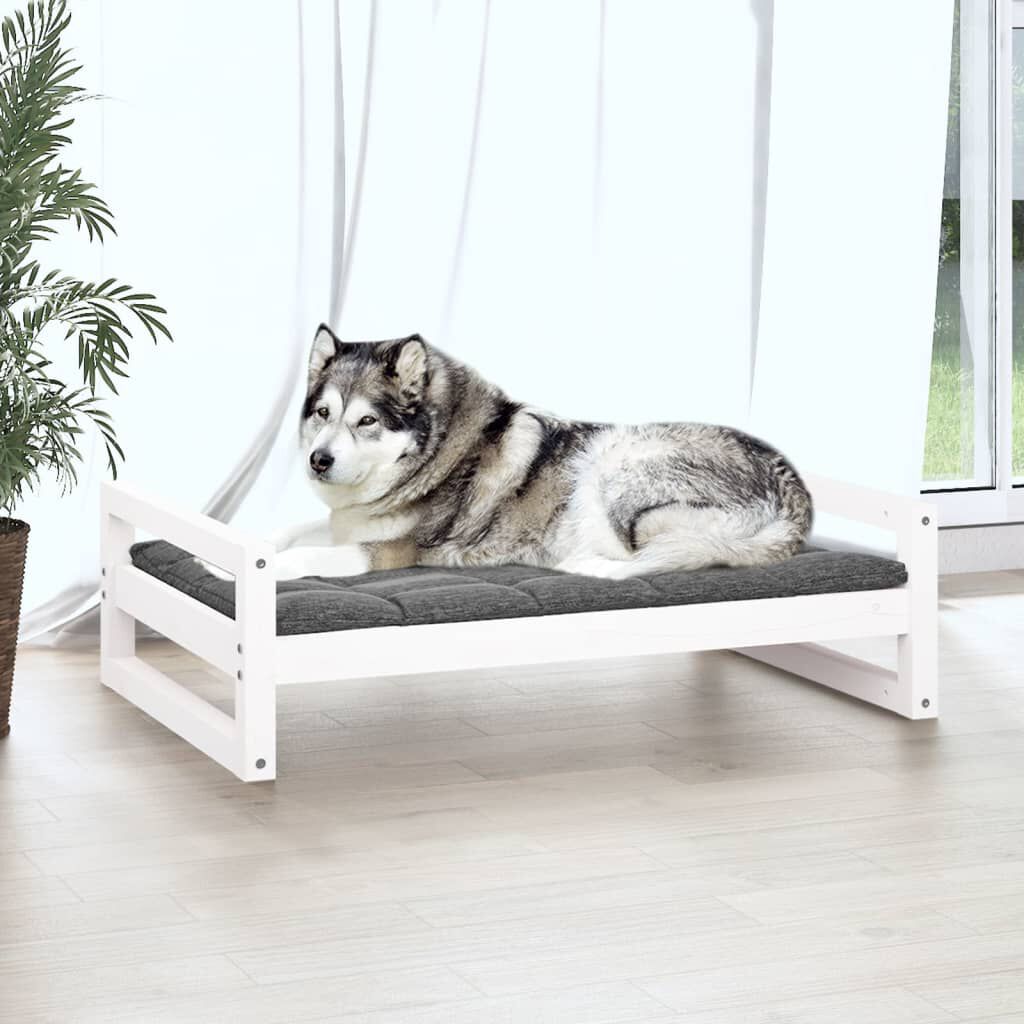 Cama Para Perros, , large Imagen numero 11
