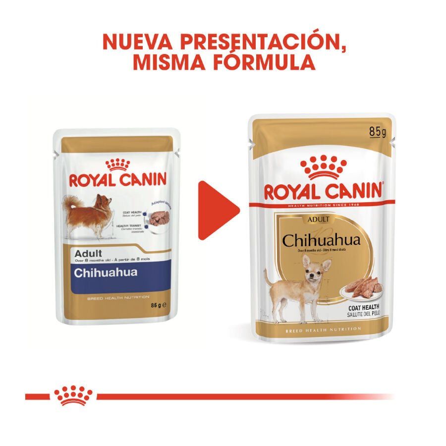 Royal Canin Adult Chihuahua paté en sobre para perros thumbnail