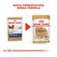 85 g Royal Canin Adult Chihuahua paté en sobre para perros, , large indicador imagen numero 3