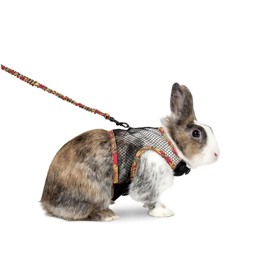 Flamingo Art Joy Arnés con Correa para hurones, cobayas y conejos thumbnail