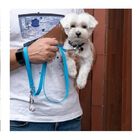Correa para perro Groc Groc lucky color Azul, , large image number null