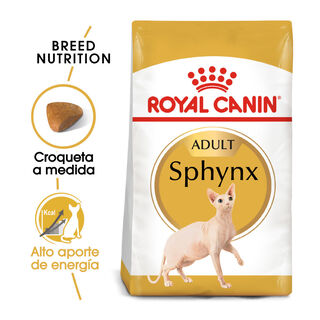 Royal Canin Adult Sphynx pienso para gatos