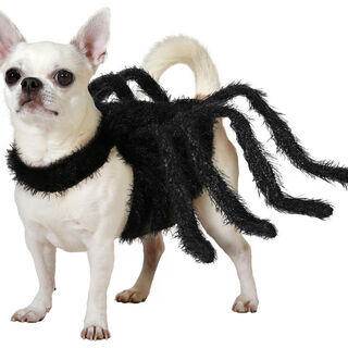 Atosa Disfraz Araña Tarántula peluda para perros especial halloween