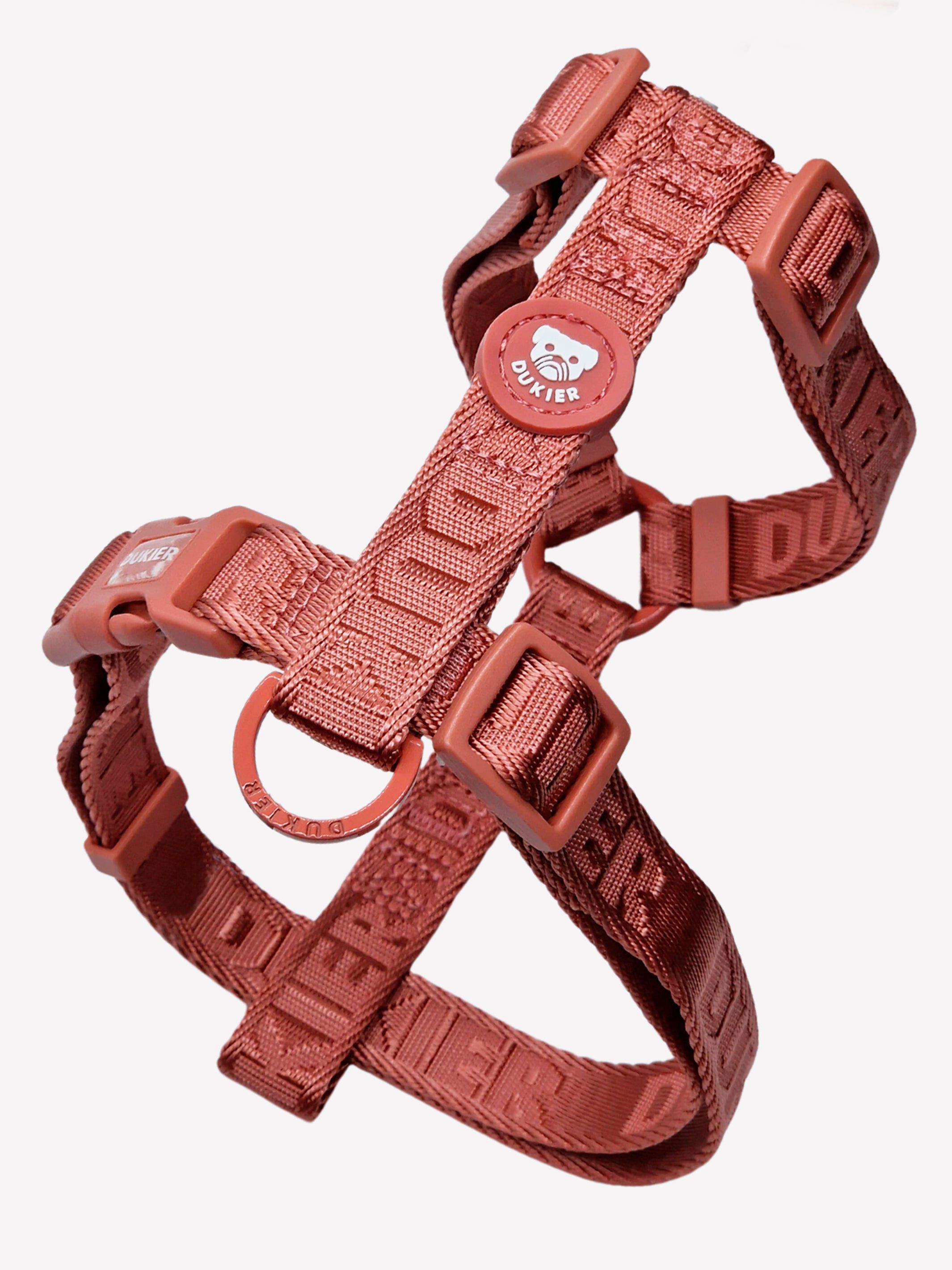 Dukier Arn&eacute;s Cl&aacute;sico Terracota para perros, , large Imagen numero 1