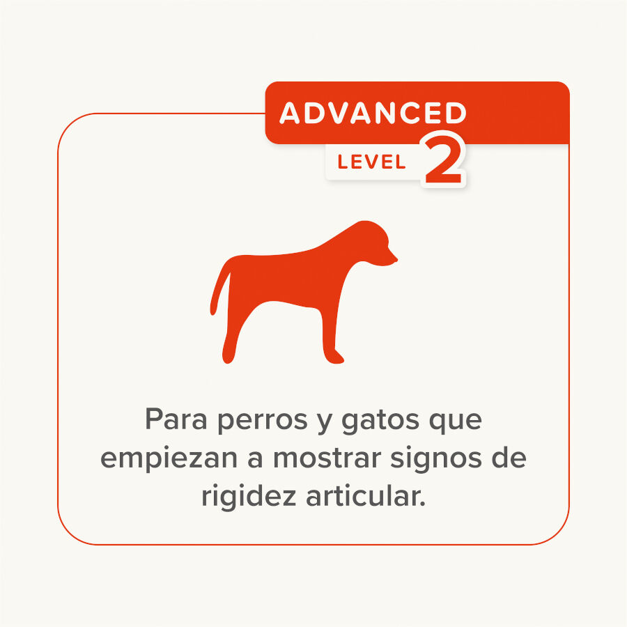 Beaphar Pasta Flexifit para perros y gatos thumbnail