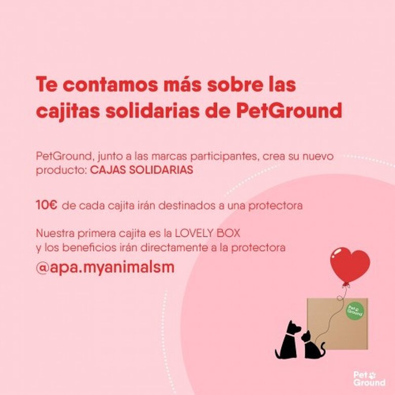 Petground caja solidaria especial amorosa para perros, , large image number null