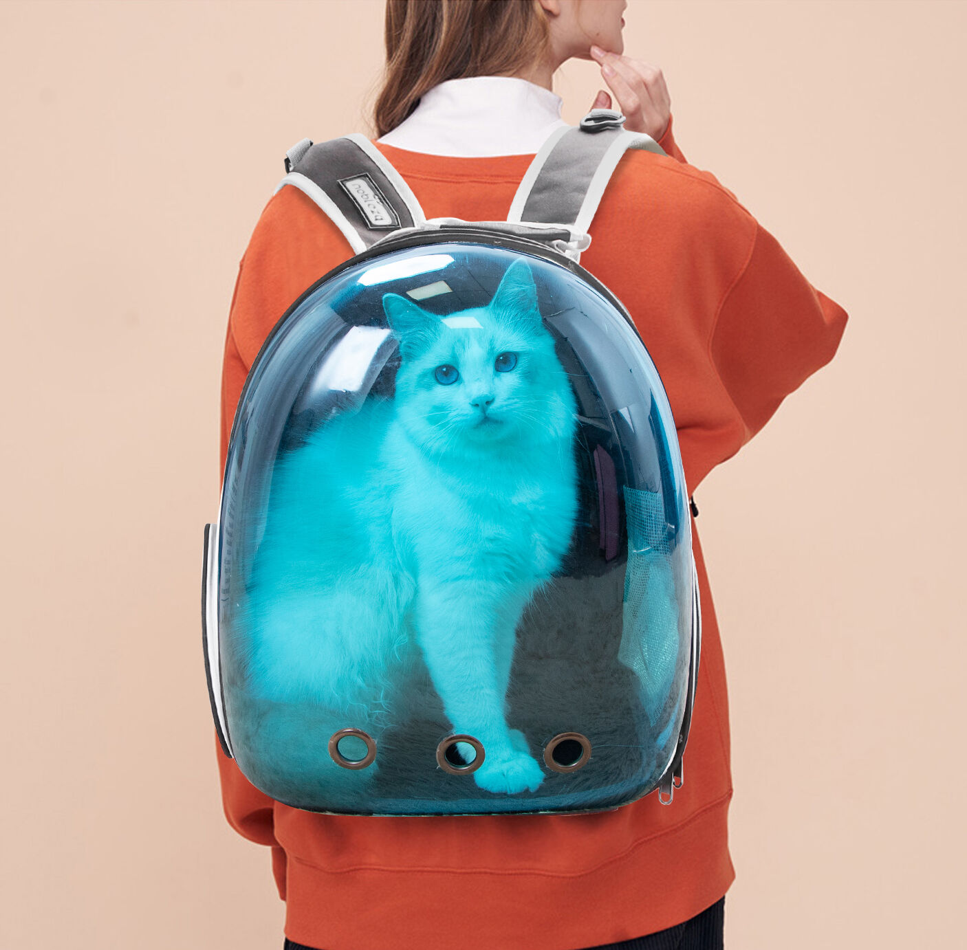 Nobleza-Mochila para Perros, Mochila Gato Transparente, Mochila Expansible Aprobada por Las Aerol&iacute;neas para Perros Peque&ntilde;os, para Paseos, Senderismo o Camping, , large Imagen numero 5