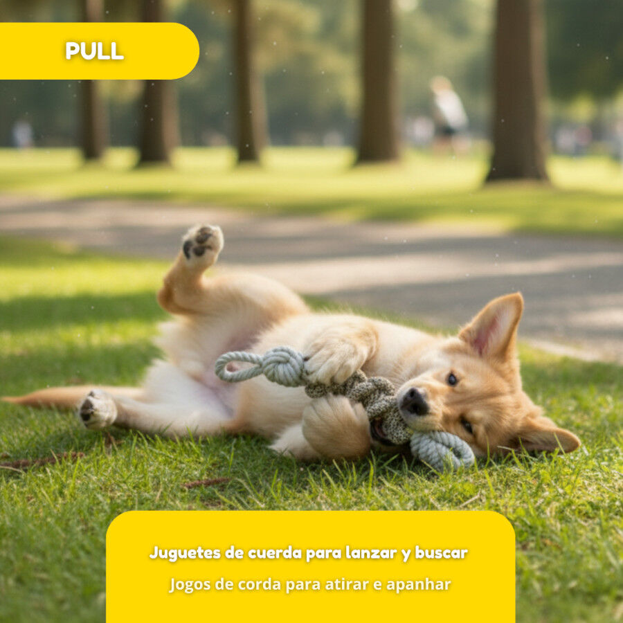 Tootoy! Mordedor de Cuerda con Nudos para perros, , large Imagen numero 5