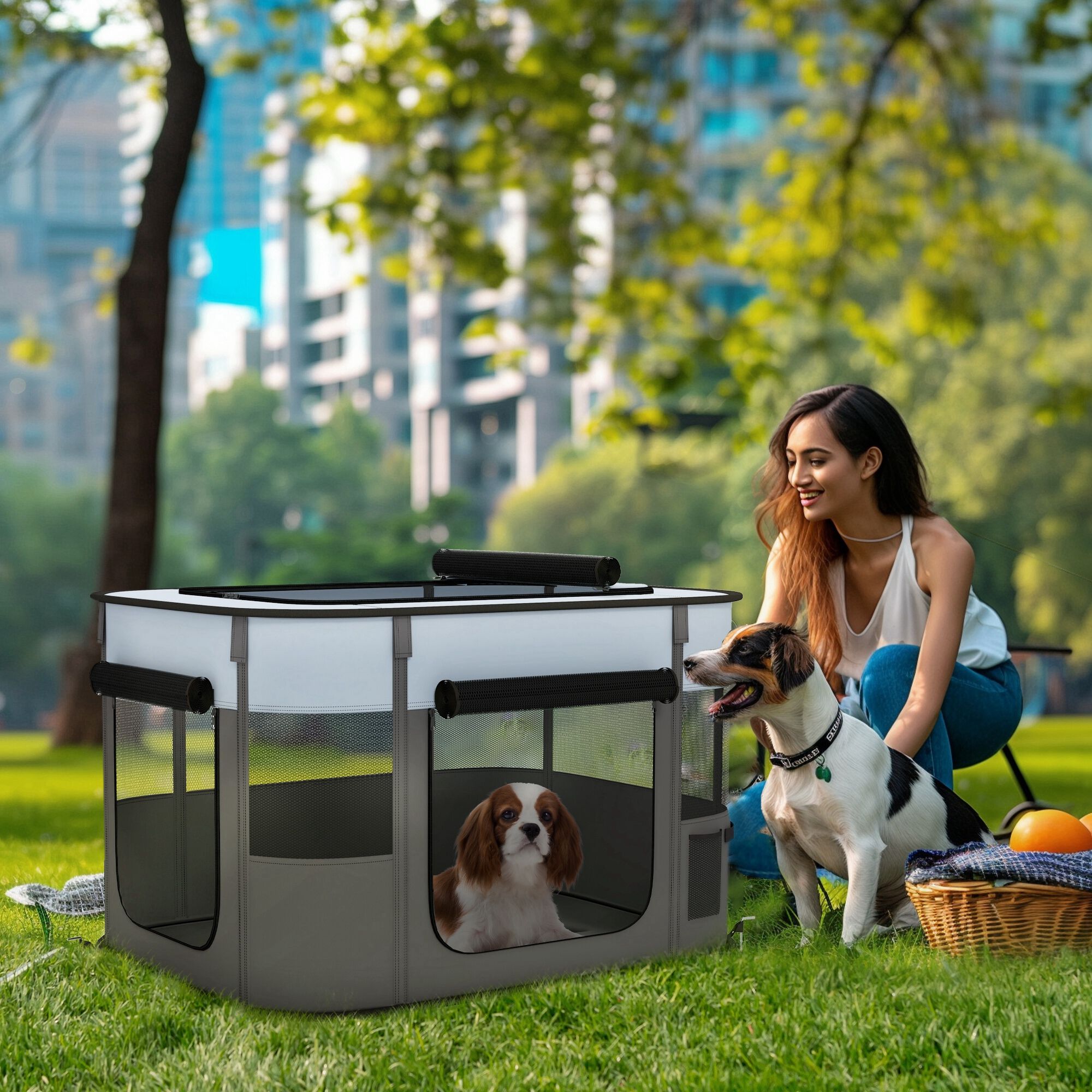 PawHut Parque para Mascota Gris, , large Imagen numero 7
