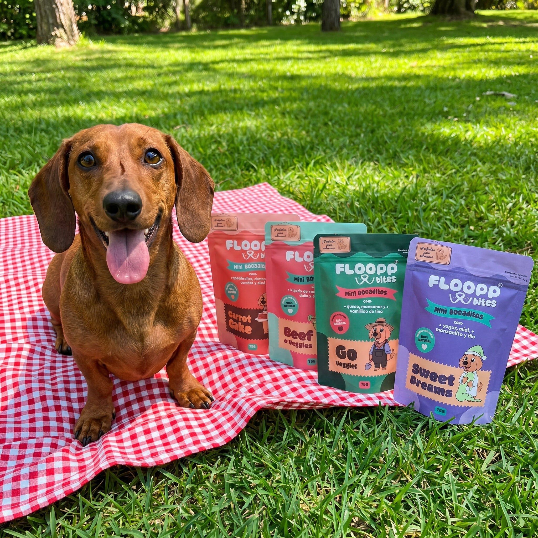 Floopp Bites Chewy Pack &ndash; Snacks Naturales para Perros, 4 Sabores, 8 x 75 g, , large Imagen numero 4
