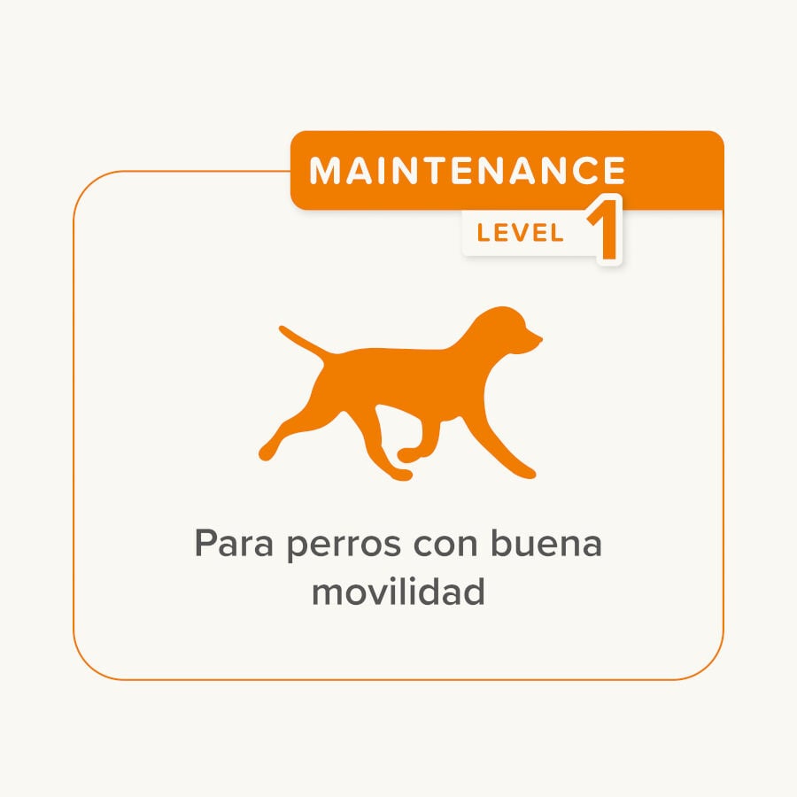 Beaphar Sticks Flexifit para perros thumbnail