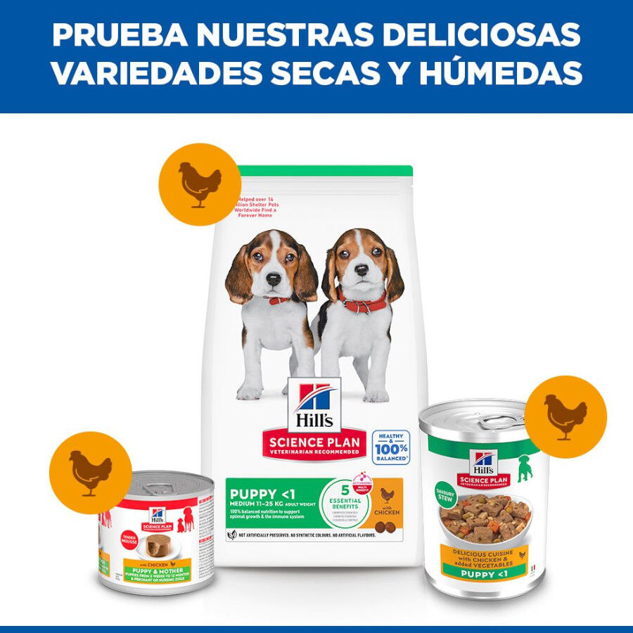 Hill's Science Plan Puppy Estofado con pollo y verduras lata para perros, , large Imagen numero 5