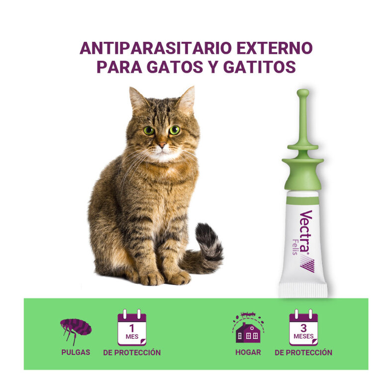 Antiparasitario externo Vectra Felis para gato image number null