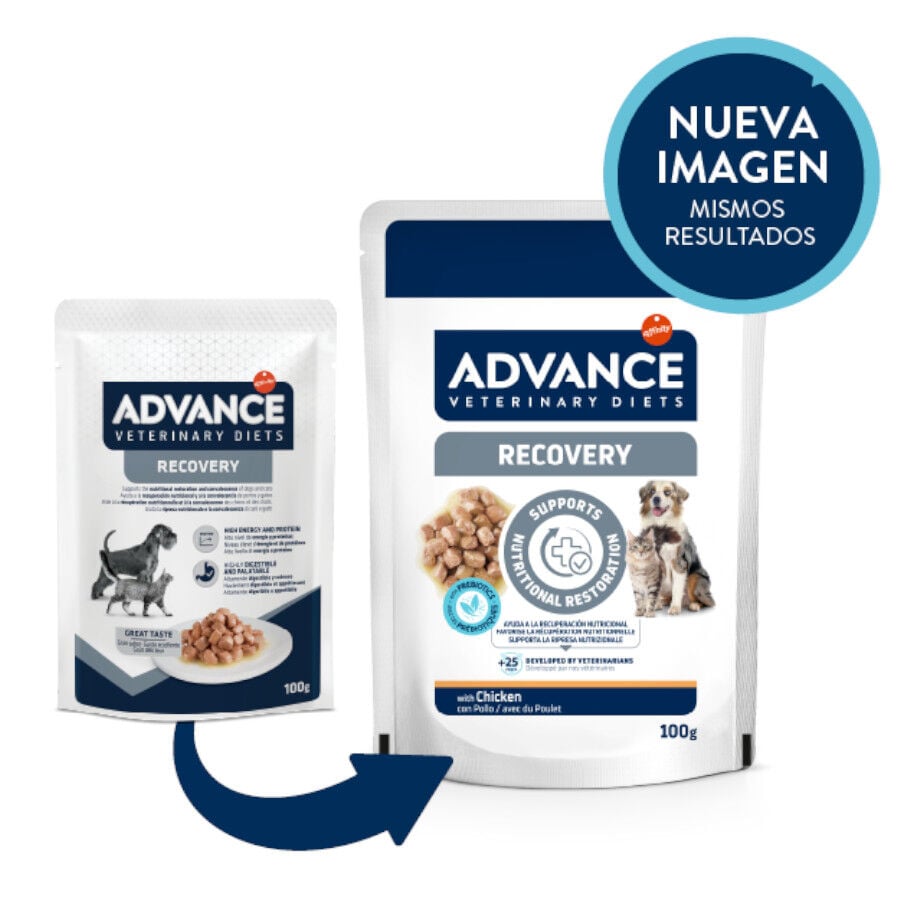 100 g Advance Recovery Sobre para perros y gatos, , large Imagen numero 2