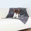 Trixie Beany Manta Estampada para perros, , large indicador imagen numero 2