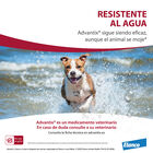 Advantix Pipetas Antiparasitarias para perros, , large image number null