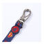 DC Comics Supermascotas Correa para perros, , large indicador imagen numero 3