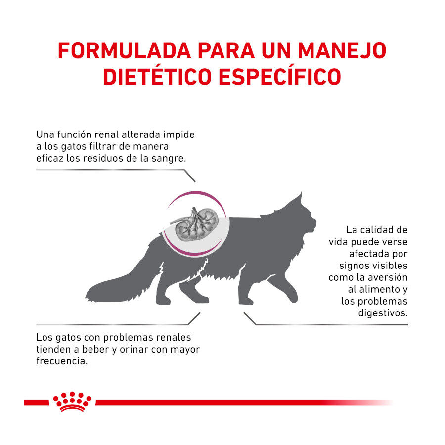 Royal Canin Veterinary Renal pienso para gatos thumbnail