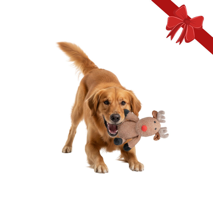 Wonder Christmas Peluche Reno Navide&ntilde;o para perros, , large Imagen numero 1