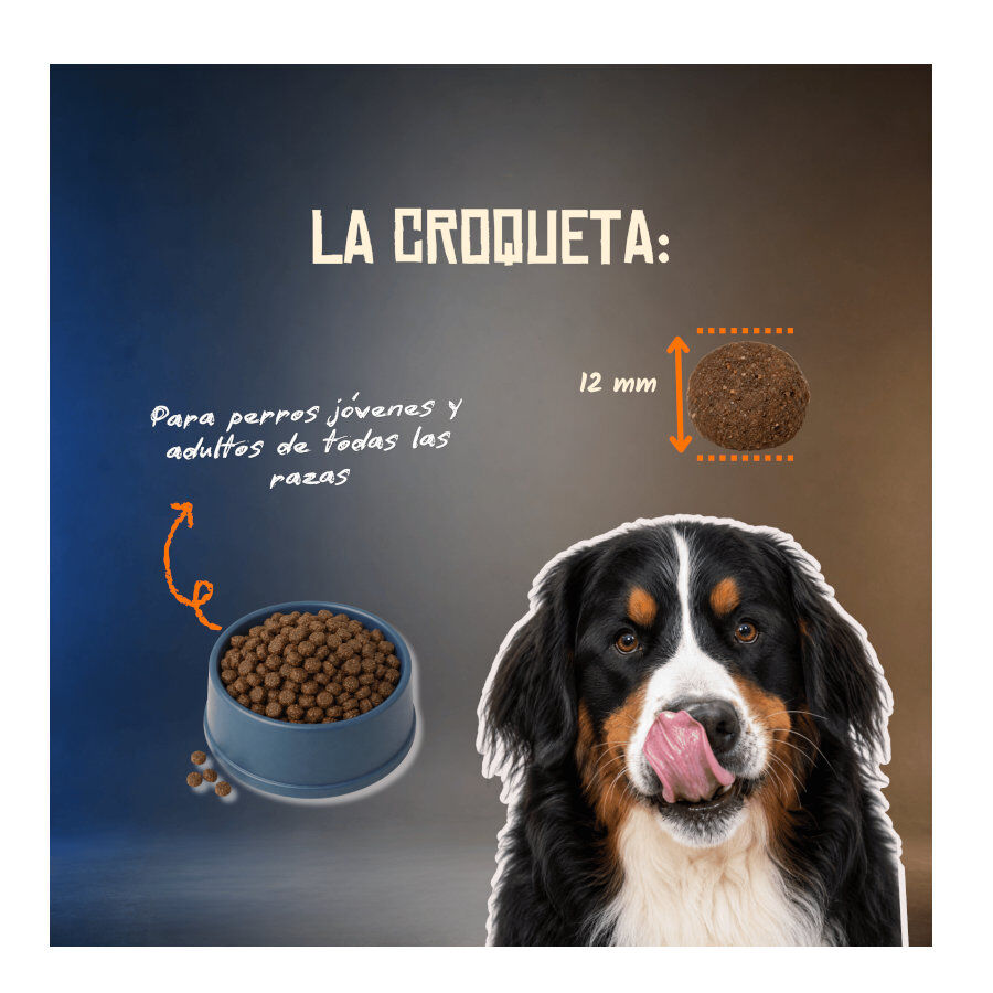 2 Kg Lenda Grain Free Pavo y Pato pienso para perros, , large Imagen numero 5