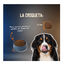 2 Kg Lenda Grain Free Pavo y Pato pienso para perros, , large indicador imagen numero 5