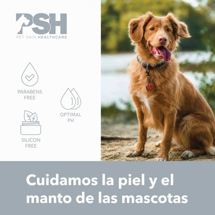 PSH Brown & Black Vibes Shampoo, , large Imagen numero 5