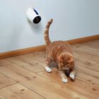 Puntero láser automático para gatos, , large image number null