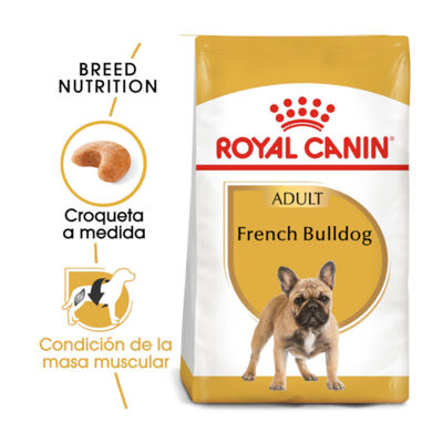 Royal Canin Adult French Bulldog pienso para perros