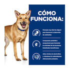 Hill's Prescription Diet Digestive Care Pavo lata para perros, , large image number null