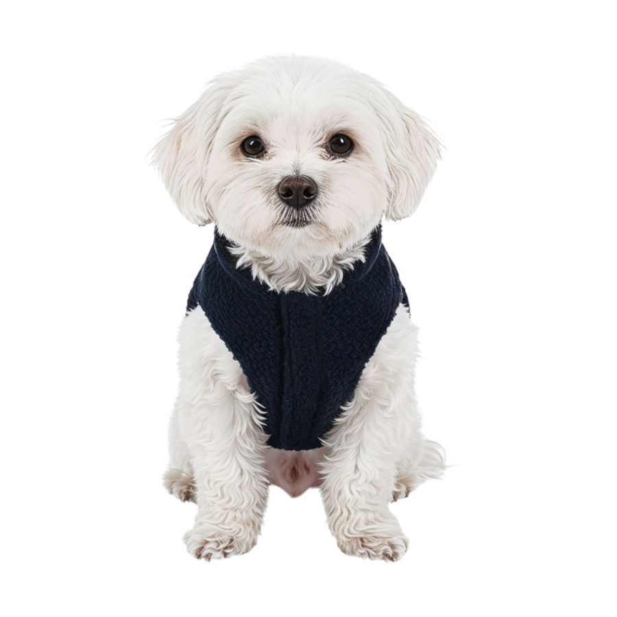 Gotoo Chaqueta Azul y Gris para perros, , large Imagen numero 7