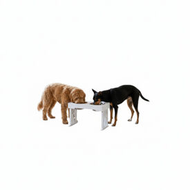 All For Paws Multi Height Comedero Doble para perros  y gato