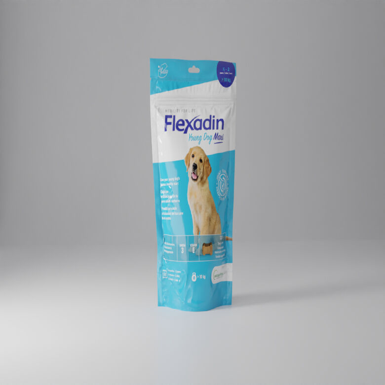 Vetoquinol Flexadin Young Maxi Condroprotector para cachorros thumbnail