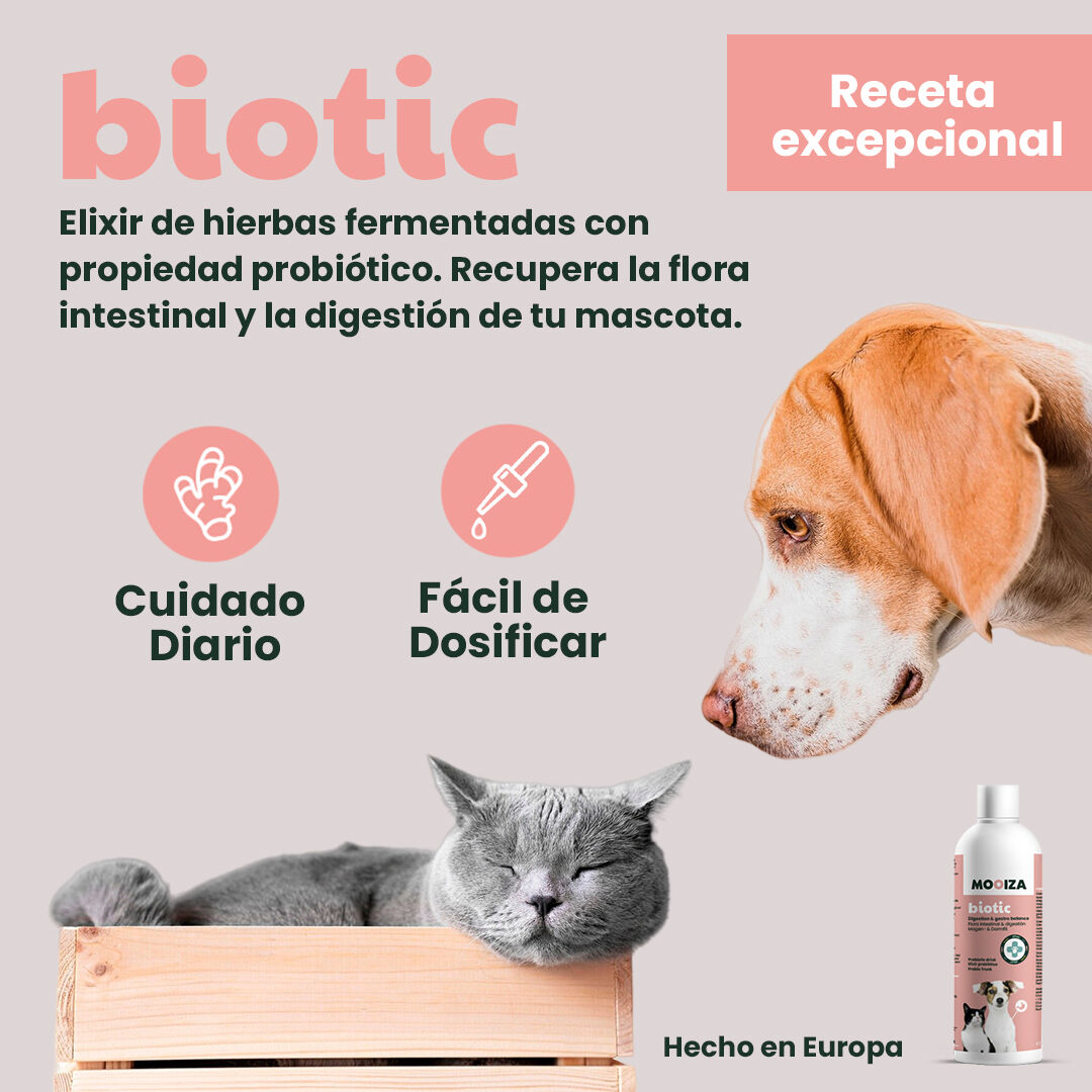 MOOIZA biotic - liquido prebi&oacute;tico con hierbas, , large Imagen numero 3