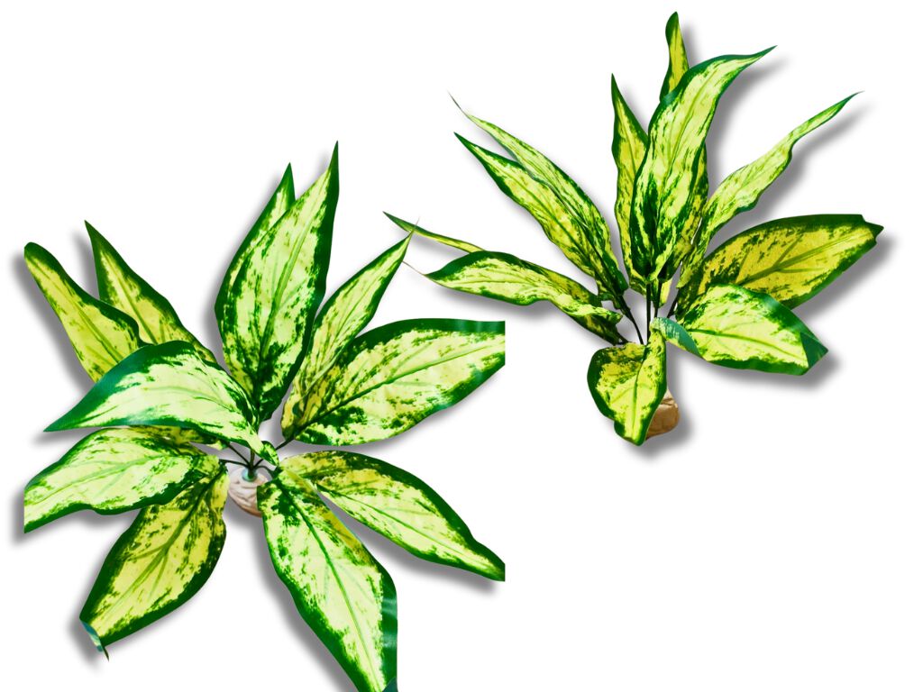 Reptilhábitat Planta Aglaonema De Decoración Para Terrarios