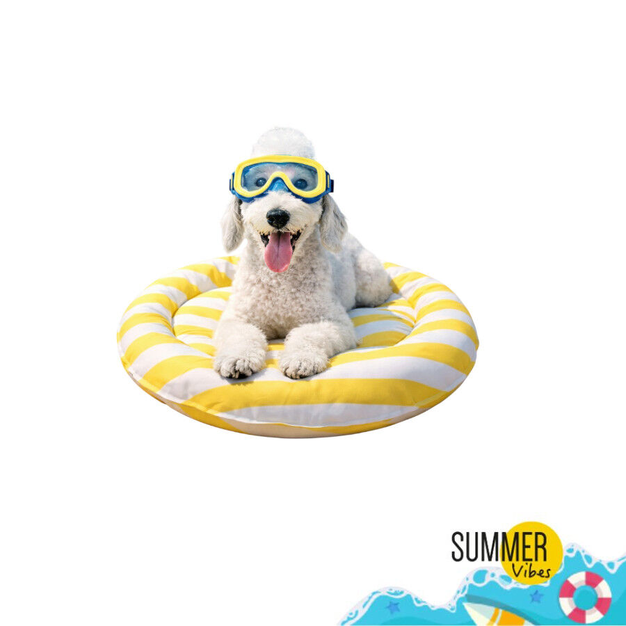 Summer Vibes Cama Redonda Refrescante Amarilla para perros, , large Imagen numero 7