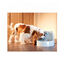Drinkwell Bebedero Fuente para perros y gatos, , large indicador imagen numero 3