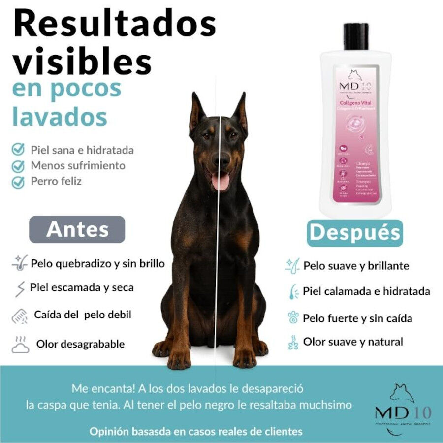 Champ&uacute; Textura con col&aacute;geno para perros olor Neutro, , large Imagen numero 3