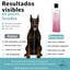 Champ&uacute; Textura con col&aacute;geno para perros olor Neutro, , large indicador imagen numero 3