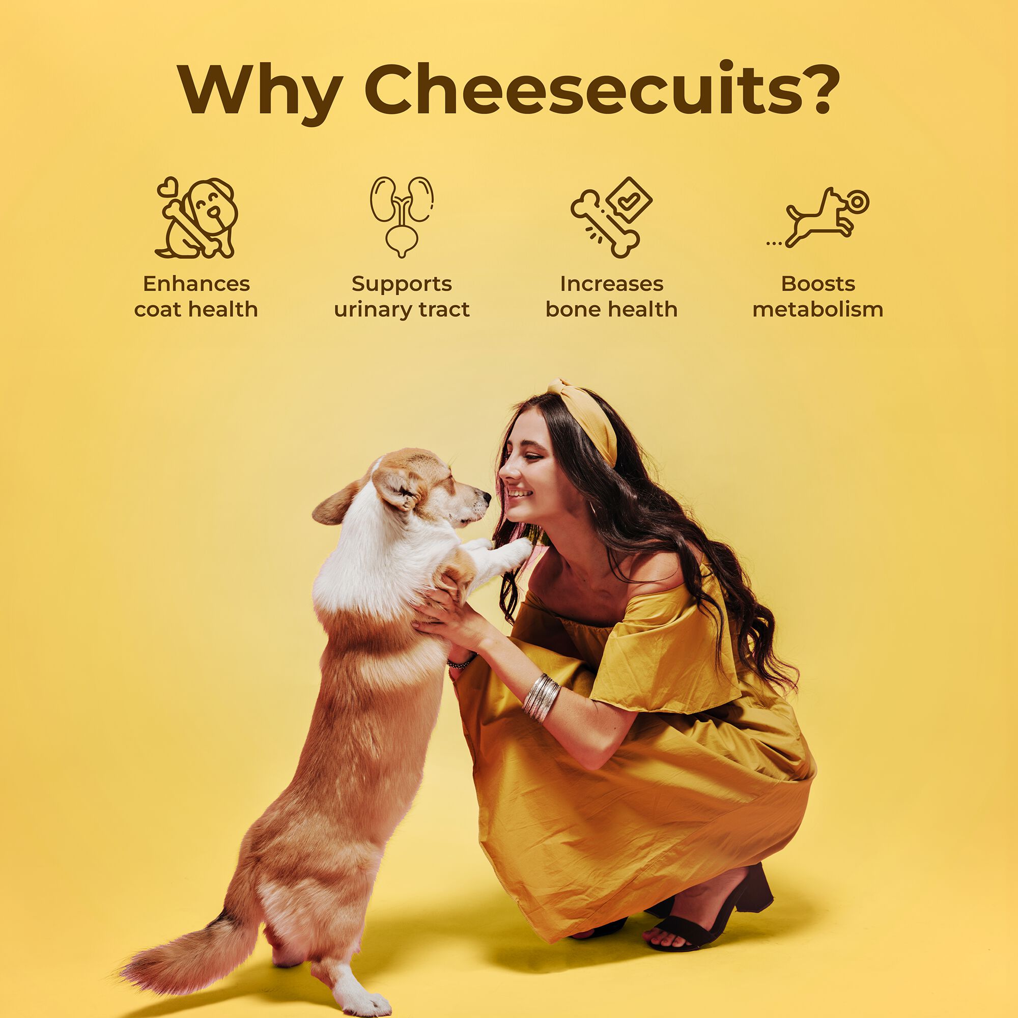 Galletas de queso para perros con pi&ntilde;a y coco - Cheesecuits (100 g/3,53 oz), , large Imagen numero 5