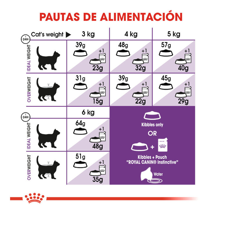 Royal Canin Regular Sensible 33 pienso para gatos, , large image number null
